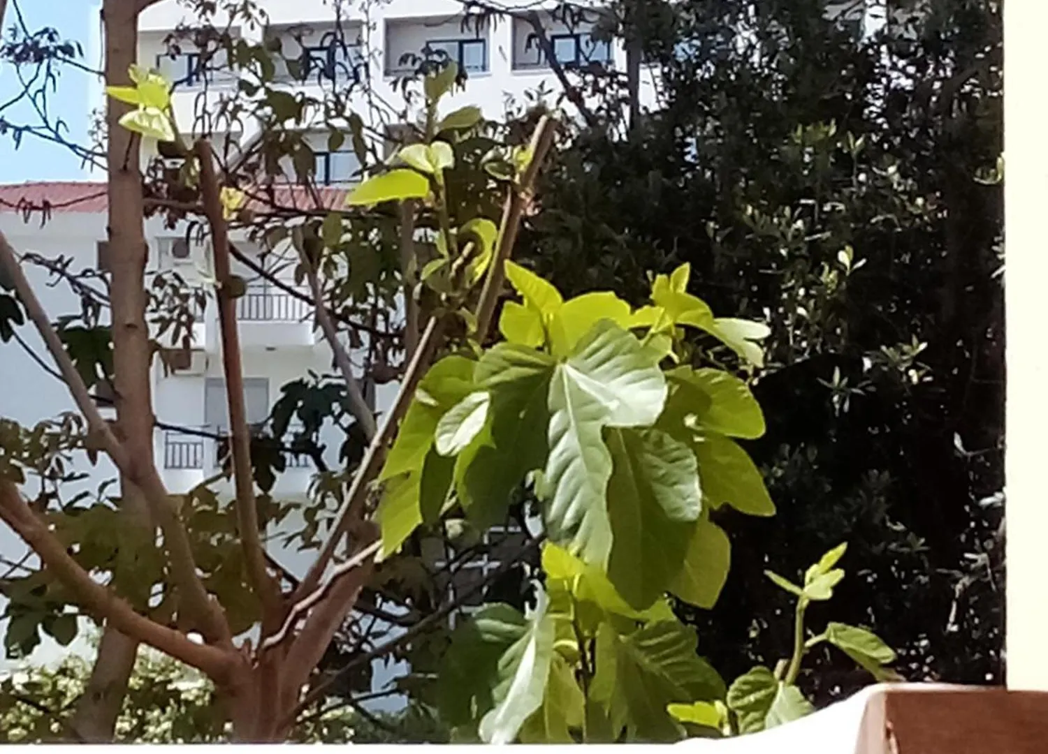 Studio Apartment For Rent, Mali I Robit, Golem 0*, Golem (Tirana) Albania